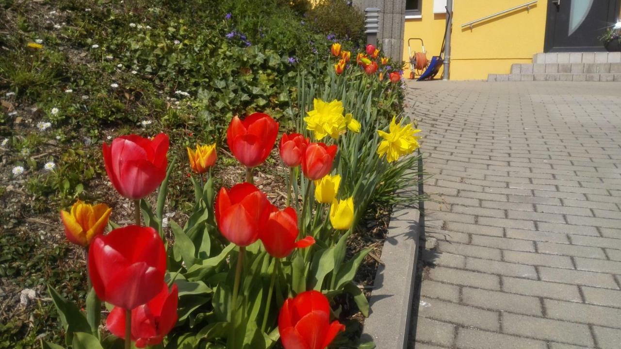 Ferienwohnung Oberpfannenstiel Bernsbach Buitenkant foto